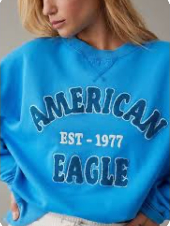 American Eagle Outfitters Tops - AMERICAN EAGLE Crewneck Sweatshirt size women’s small